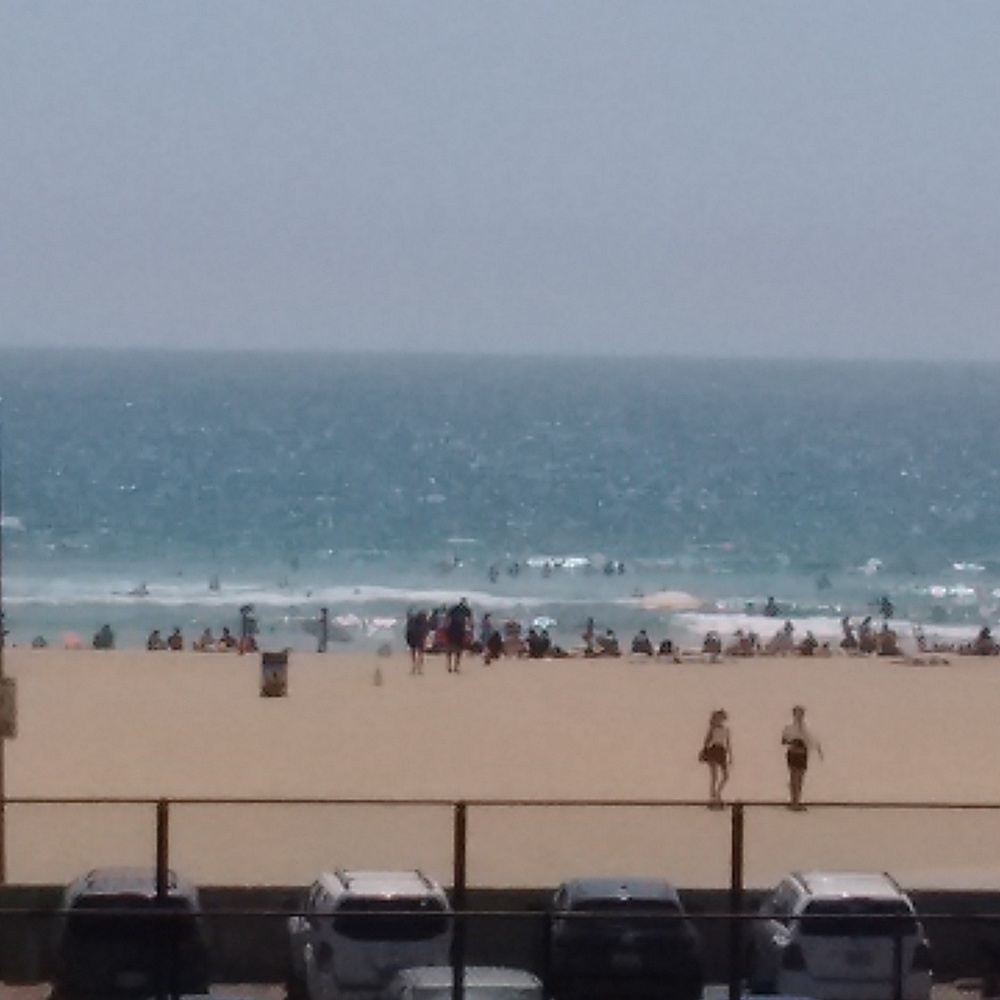 Meet your Posher, Michele